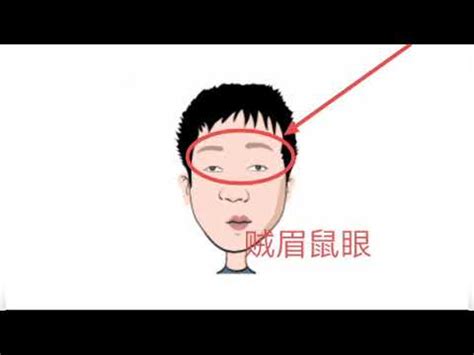 賊眉鼠眼意思